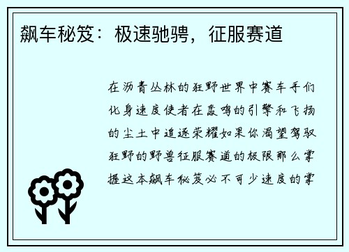飙车秘笈：极速驰骋，征服赛道
